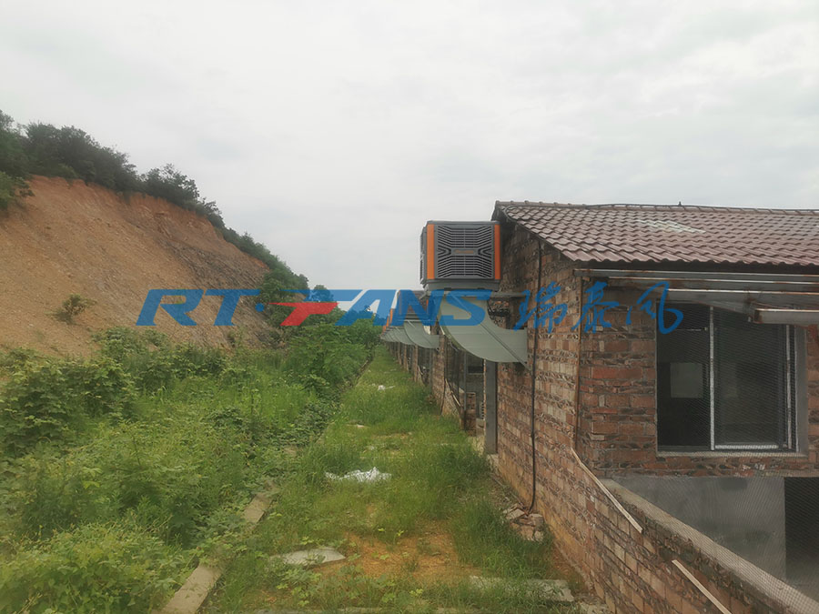 廠房降溫,環(huán)?？照{(diào),冷風(fēng)機(jī)